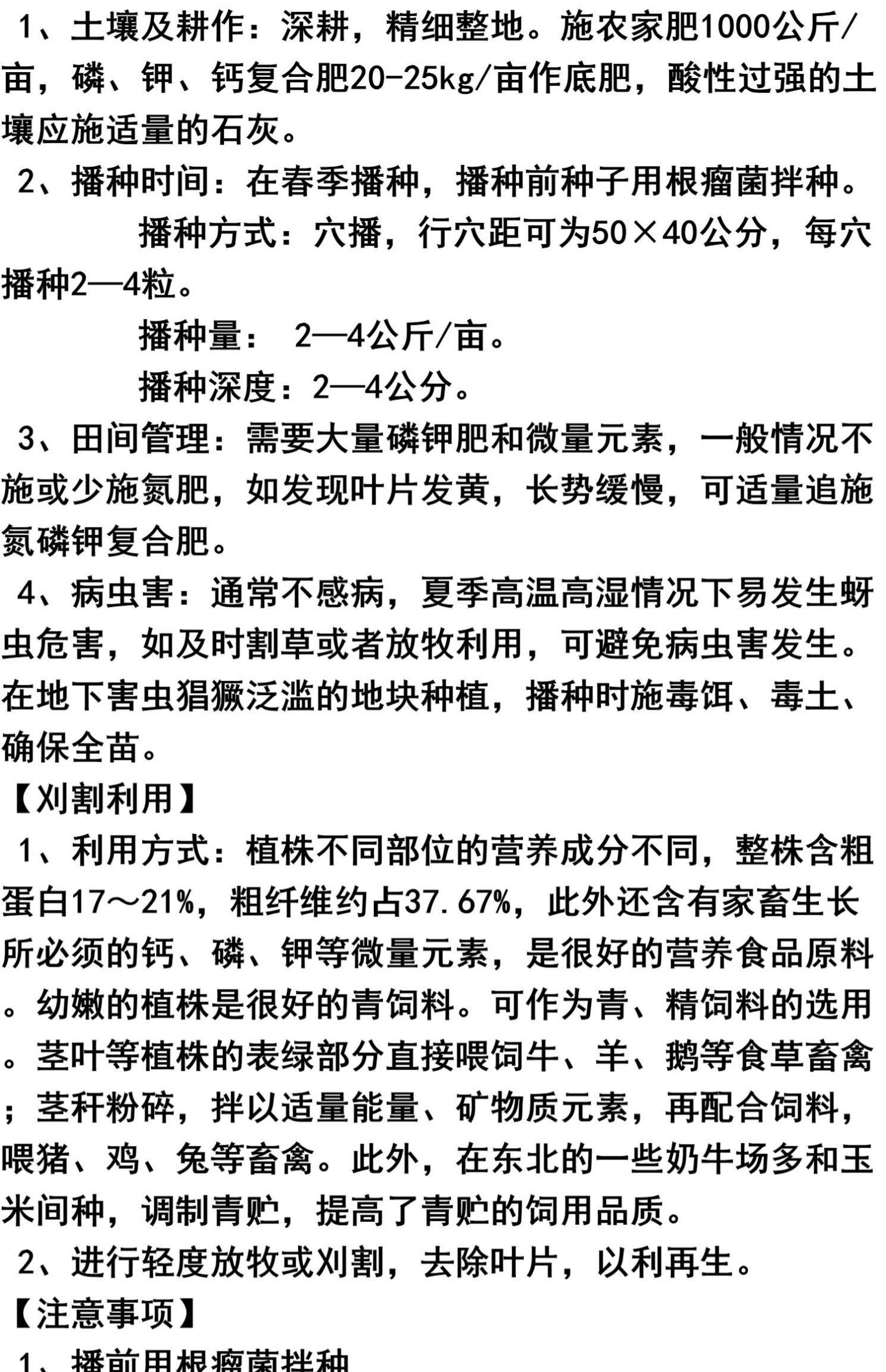 木豆种子  拉巴豆牧草种子 固氮 抗旱 耐贫瘠 防杂草 高值