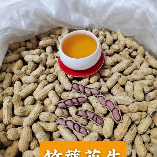 红皮花生  【热销】竹蔗花生 农家花生 水煮晒干 送礼佳品