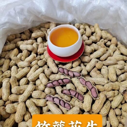 英德市红皮花生  【热销】竹蔗花生 农家花生 水煮晒干 送礼佳品