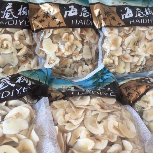 诏安县海椰子片 海底椰