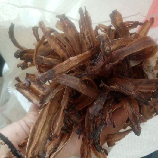 项城市土地龙 地龙产地直销