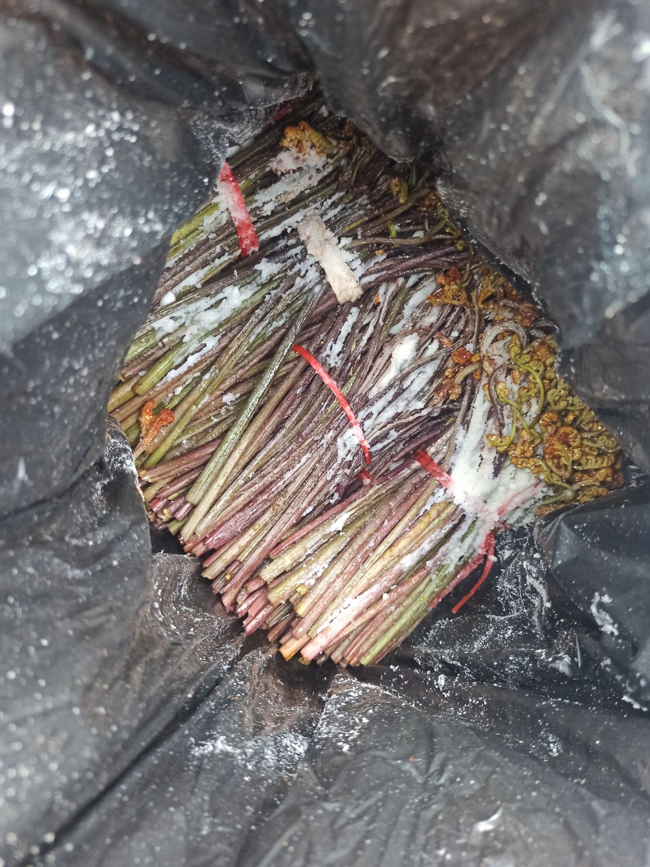 蕨菜 有通货  有单独的 价格不一