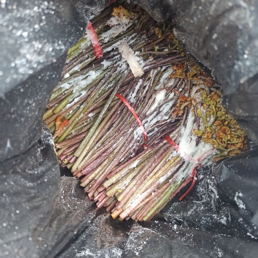 清镇市蕨菜 有通货  有单独的 价格不一