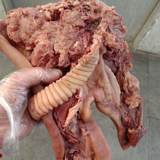 桓台县卤猪头肉，去骨猪头肉，价格优惠，欢迎选购