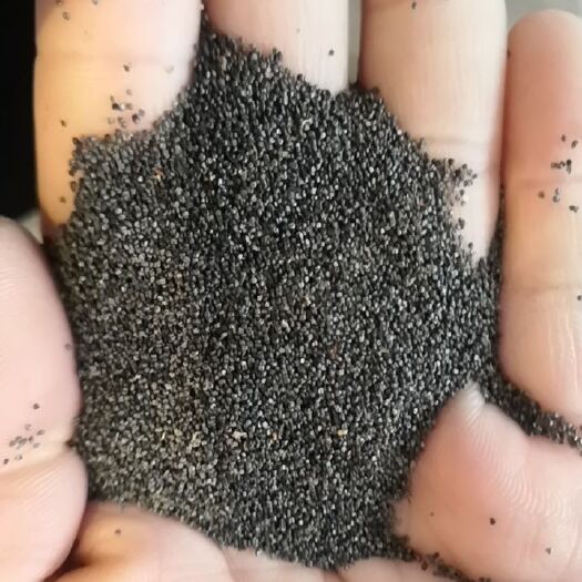 常州太阳花种子 绿化家用阳台重重瓣太阳花