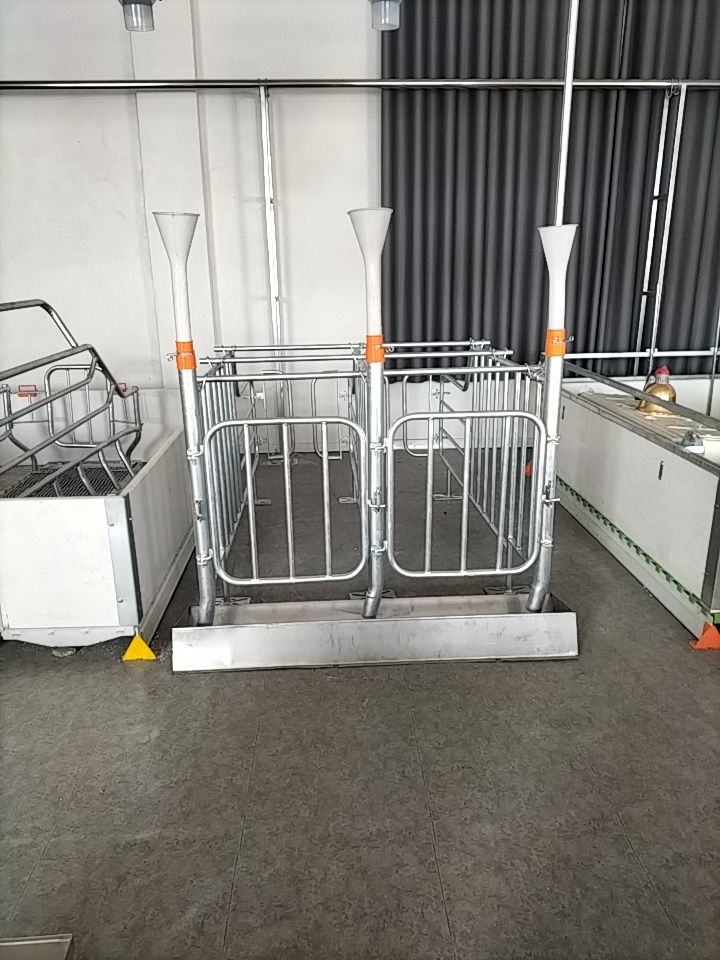 养殖设备  养猪设备限位栏母猪定位栏养殖场设备猪场复合漏粪板定位栏