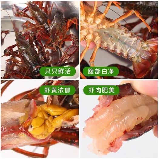 仙桃市小龙虾  湖北清水养殖淡水油焖，蒜蓉，十三香，麻辣香辣
