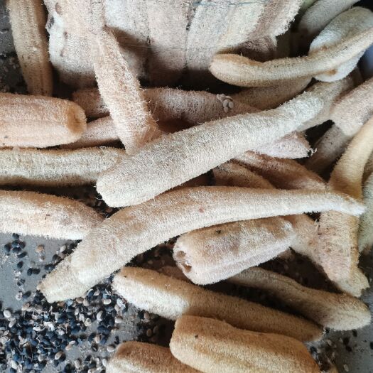 涡阳县丝瓜络，丝瓜瓤，新货，货干，无籽，无霉，密度好，质量好，