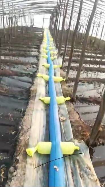 天津 浇地布水带，仿便快捷。