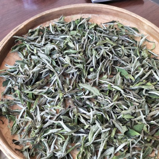 福鼎市白毫银针 茶福建福鼎管阳天竹高山白茶银针自产自销