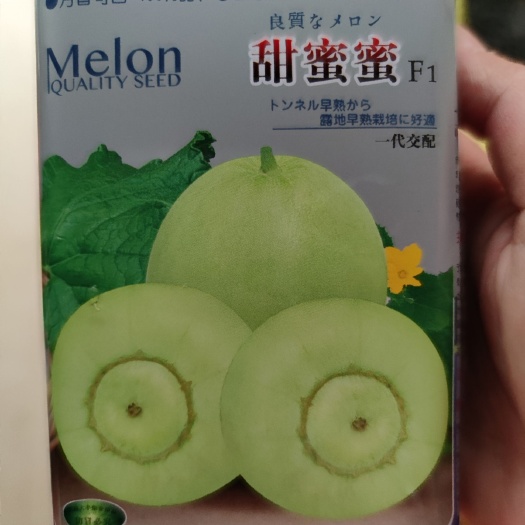 甜蜜蜜甜瓜种子 糖度17 十分好吃 甜瓜
