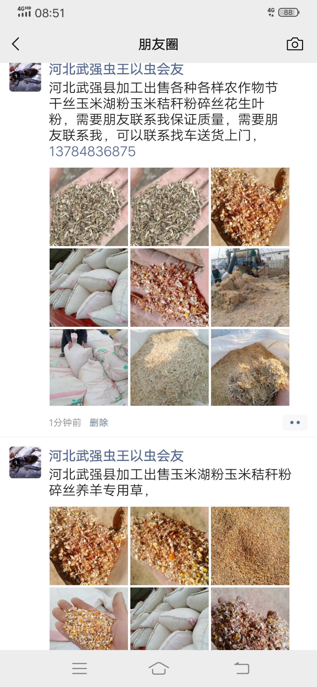 玉米纤维  河武强县加工出售玉米湖粉玉米节干丝养羊专用草，
