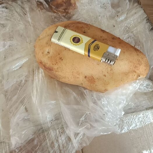 砚山县丽薯6号 云南文山土豆大量上市