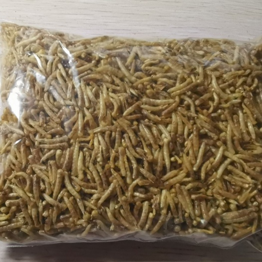 成都肉蛆干蝇蛆粉五谷虫粉干常年厂家直供