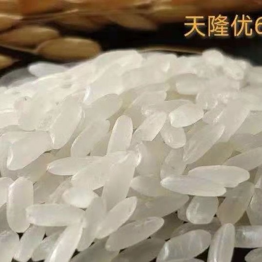 天津天隆619国家粳稻中心研发新品稻花香3号