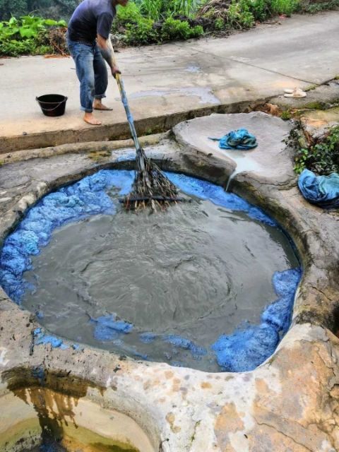 仙游县青黛