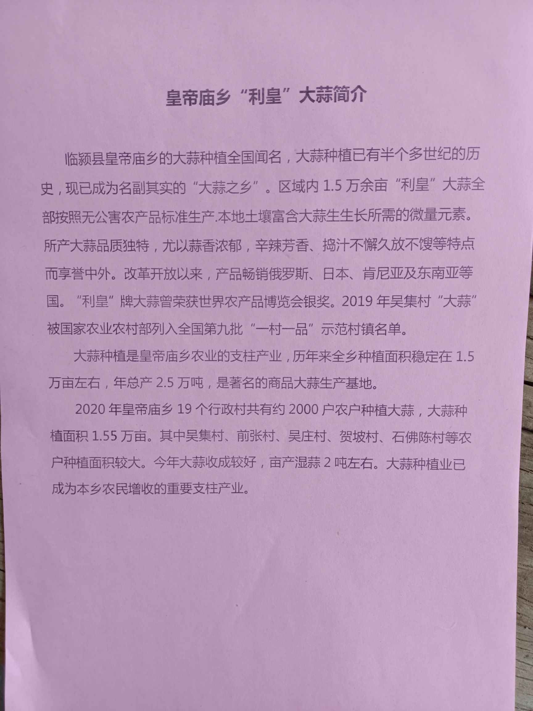  红帽蒜苔