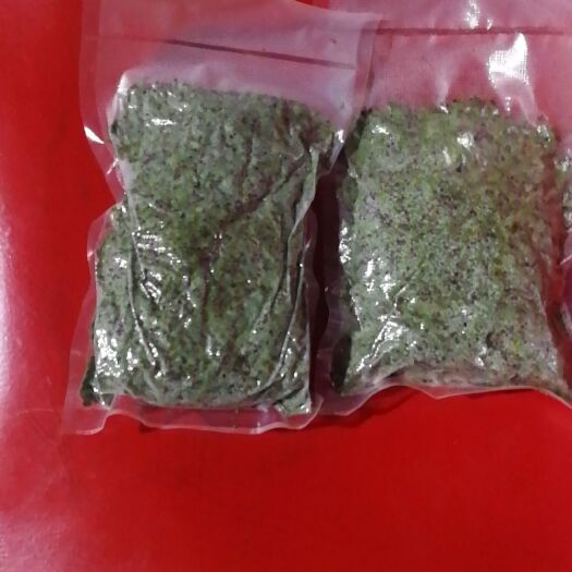 南宁 鲜浮萍