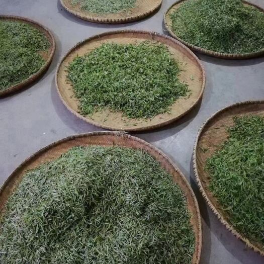 石门县云雾茶 高档云雾清明绿茶，香味浓郁，汁水清香