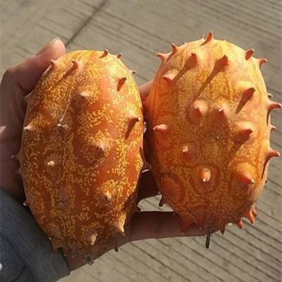 大田县火参果精选基地直供刺角瓜非洲蜜瓜火星果灭霸同款新鲜现摘