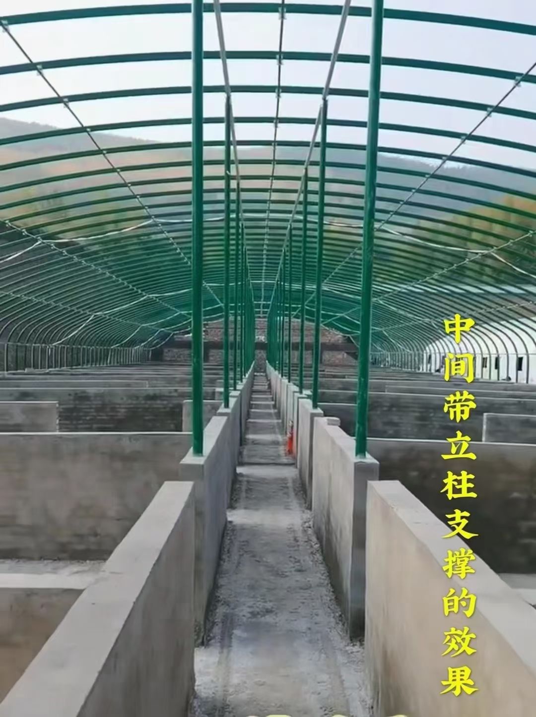 包塑管养殖大棚，养猪大棚，养牛大棚，养鸡大棚，热镀养殖大棚
