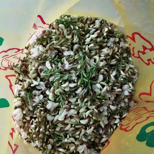枣阳市 槐花