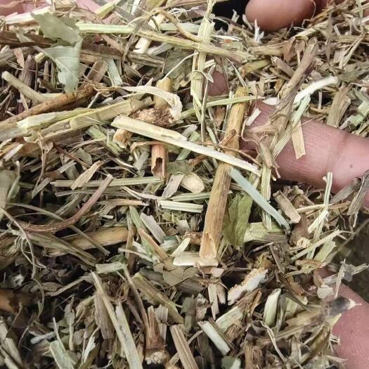 宝丰县 精品花生秧