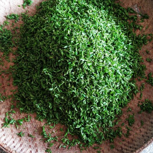 舒城县甜茶  纯生高茶