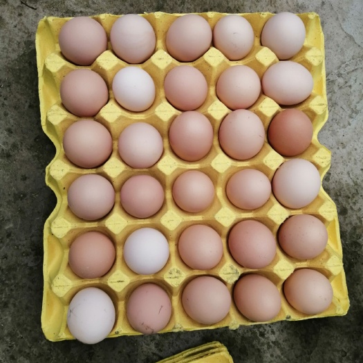 清镇市土鸡蛋 食用 箱装 