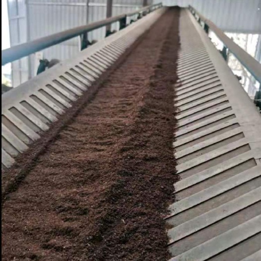 重庆市鸡粪 