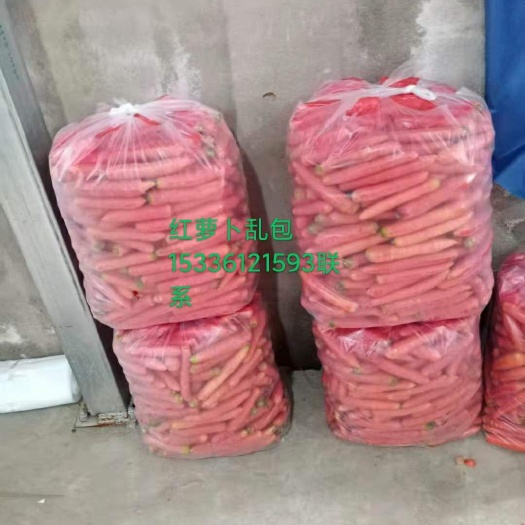 大荔县大荔秤杆红萝卜