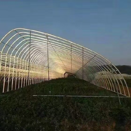天津种植大棚  椭圆管，春秋棚，冷棚