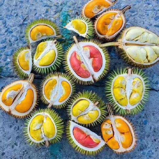 昆明长期供应泰国榴莲品种齐全货美价优