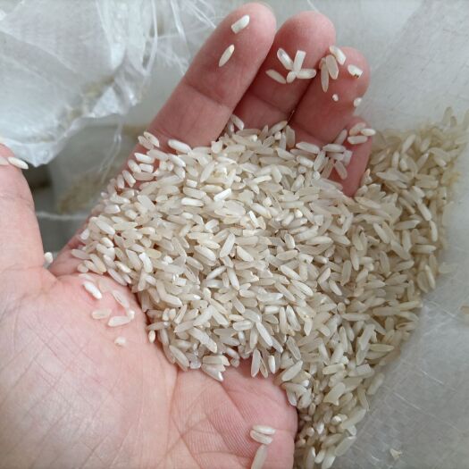 兴宁市新到长粒香酒米白净色选米靓鸡食米长粒香碎米 大量现货