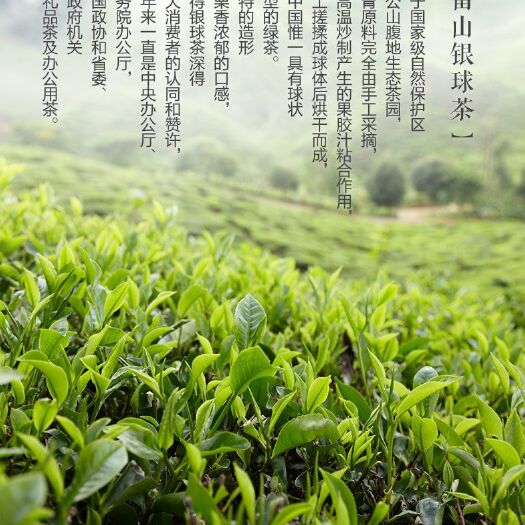 凯里市 雷公山自然保护区特色绿茶