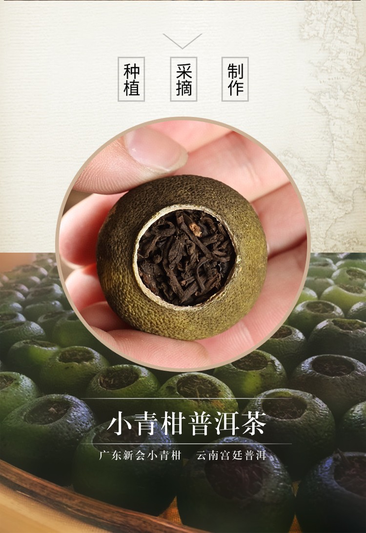 新会小青柑普洱茶柑普茶新会陈皮熟茶橘普茶250克