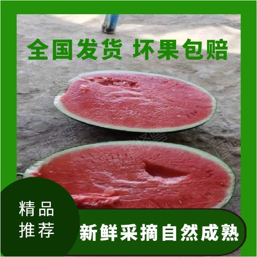 大荔县金城5号西瓜  【热销】万亩西瓜即将大量上市！