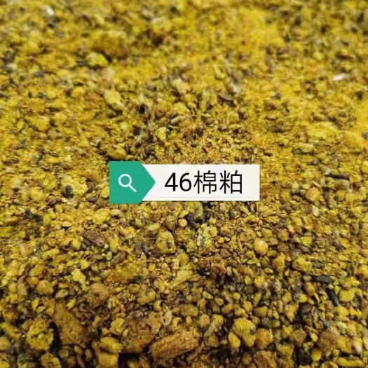 正定县芝麻粕 玛纳斯利华棉粕，蛋白46水分12灰分8黄曲霉10以内