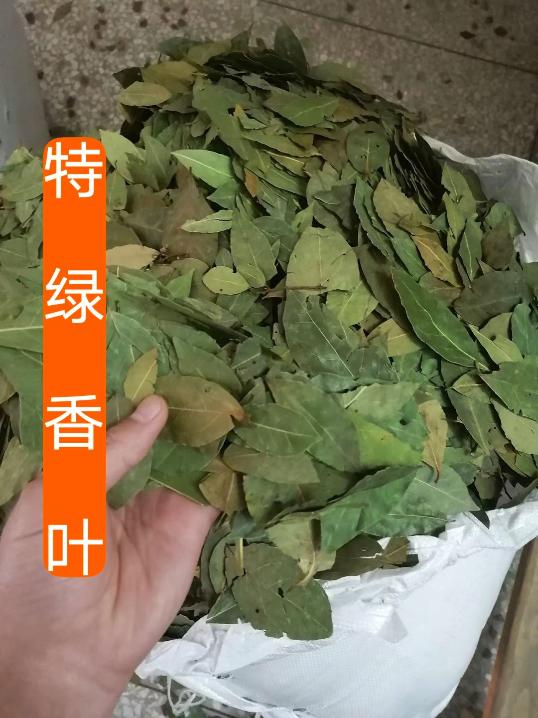 A正品香叶优选特绿火锅调料包产地直销批发