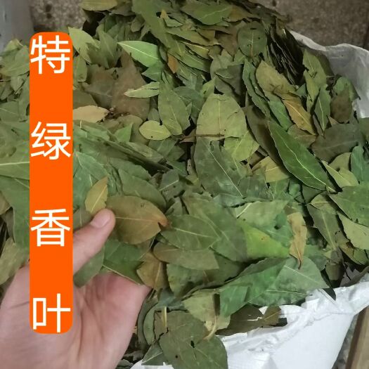 A正品香叶优选特绿火锅调料包产地直销批发