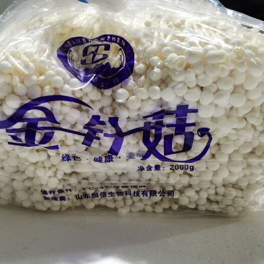 邹城市白金针菇  金针菇各种品牌、规格、等级，价格优惠，量大从优。