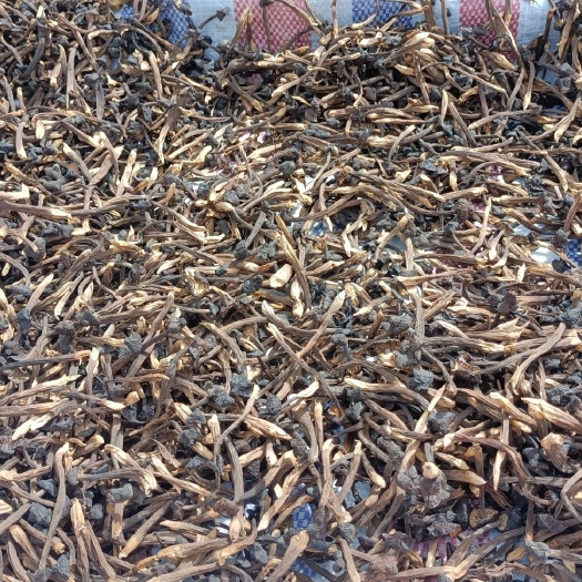 济宁黑皮鸡枞菌干菇
