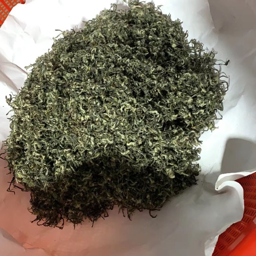 苏州 苏州东山碧螺春炒青，自家山上的，老茶客口粮茶。便宜实惠