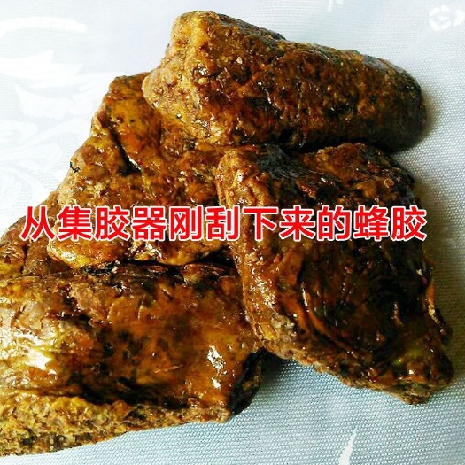 长葛市【无杂质原蜂胶】天然蜂胶原胶纯正蜂胶蜂胶泡酒蜂胶块正品包邮