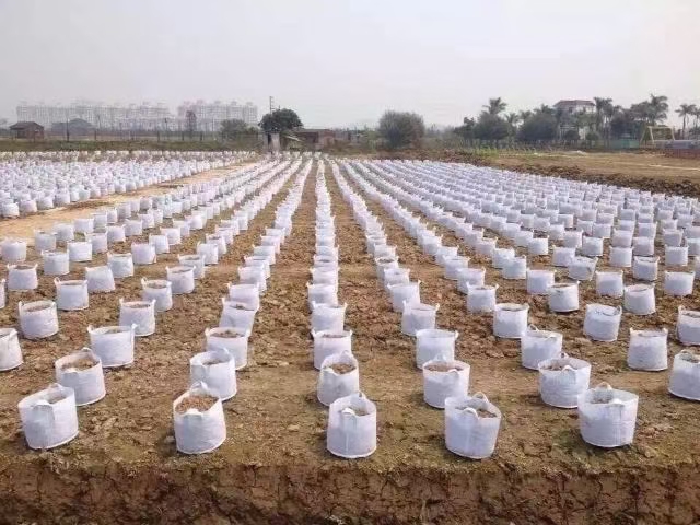 无耳25*20无纺布植树袋（100只）美植袋营养袋，育苗袋，
