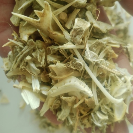 海兴县 鱼骨 鱼干 鱼粉