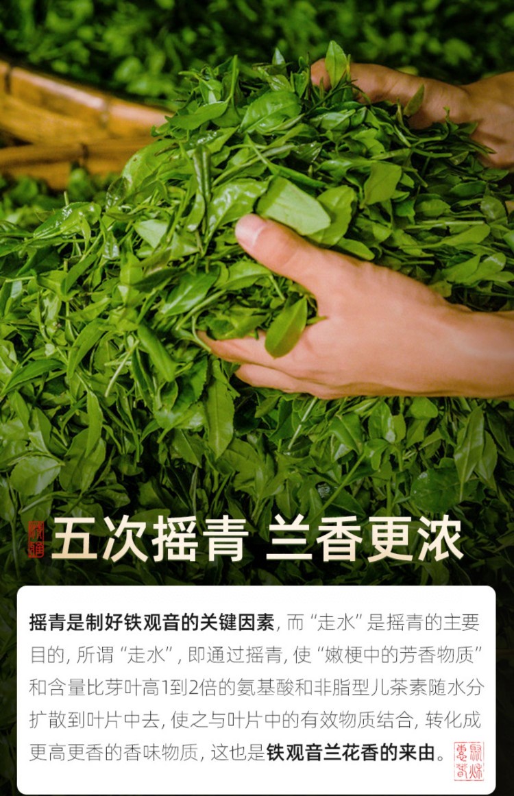 500g铁观音浓香型高山正味乌龙茶安溪兰花香铁观音