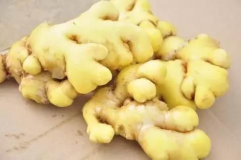  江西吉安特色小黄姜