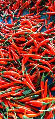 小米椒，精品艳红小米椒，产地直供，货源充足，价格合理