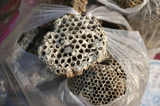 光山县 天然露蜂房